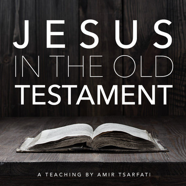 Jesus in the Old Testament PDF