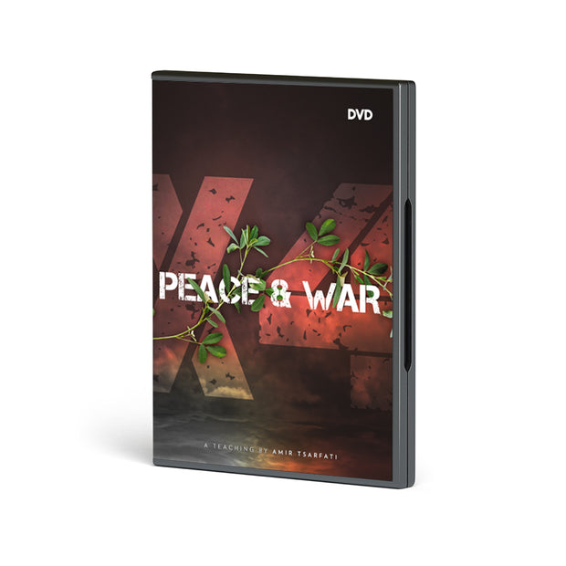Peace and War X4