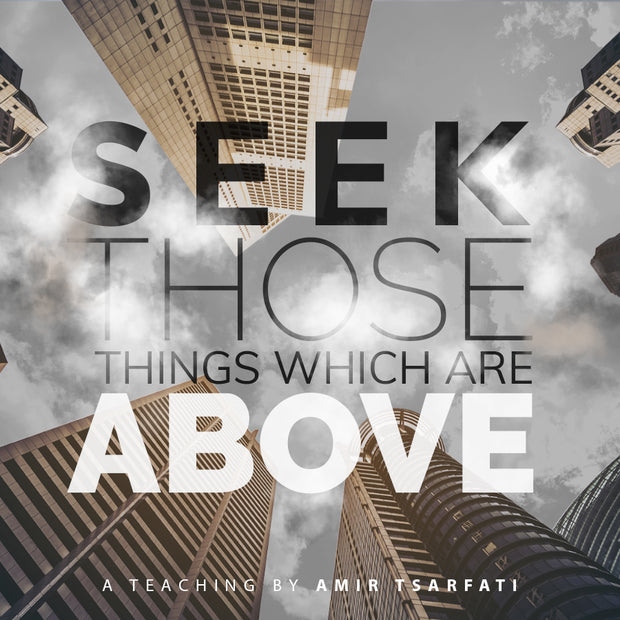 Seek Those Things Which are Above PDF